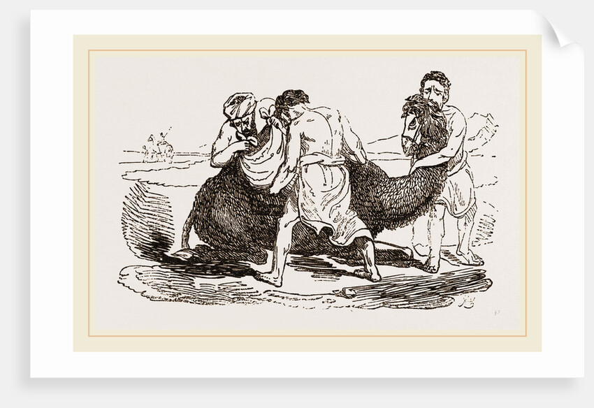 Loading the Camel by Anonymous