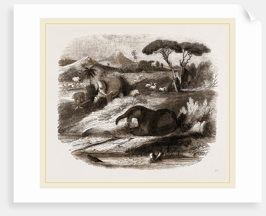 Dinotherium by Anonymous