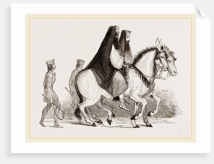 Asses by Anonymous