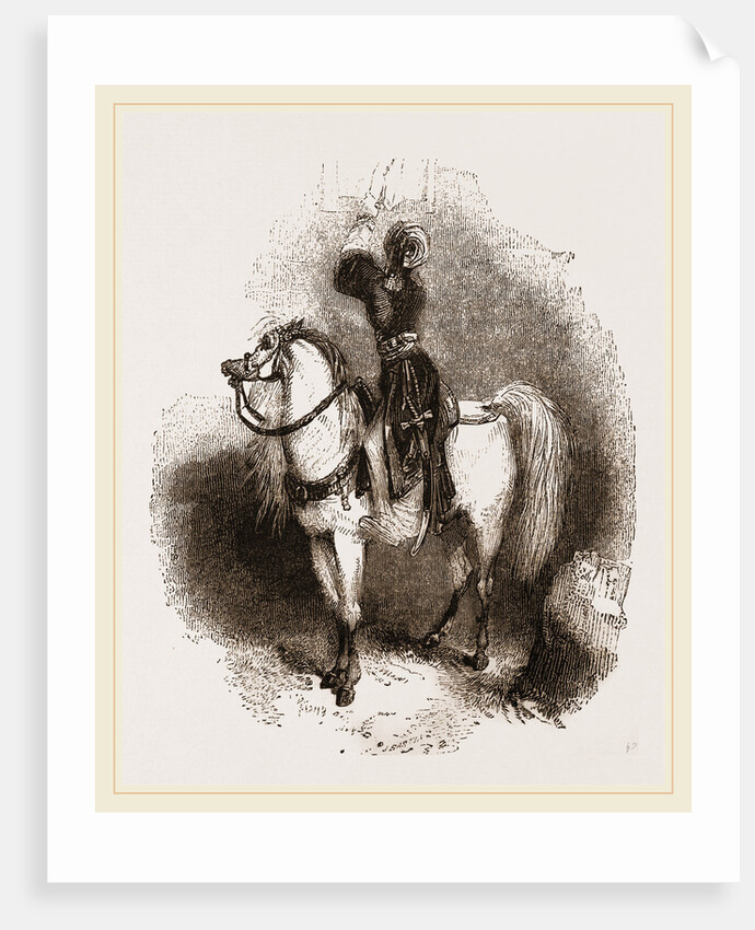 Arabian Horse by Anonymous
