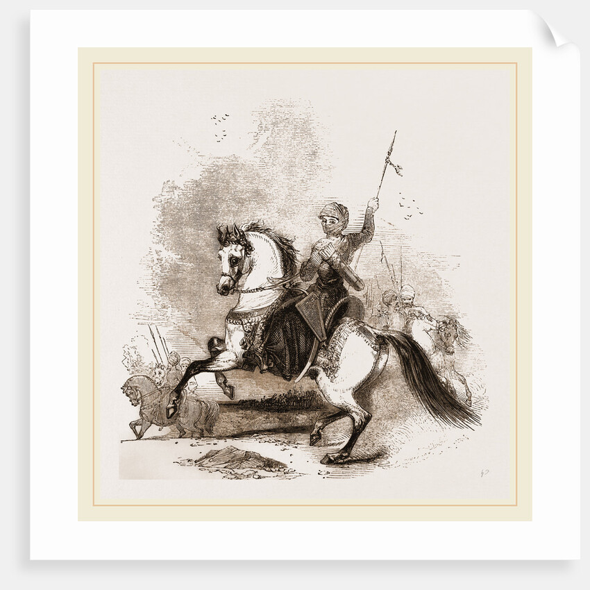 Turkish War Horse by Anonymous
