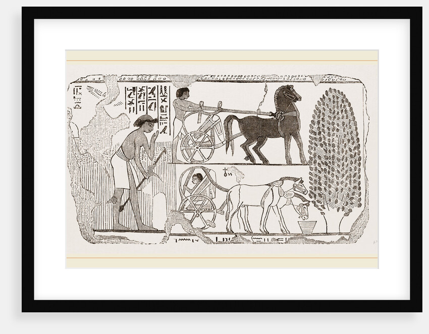 Egyptian painting by Anonymous