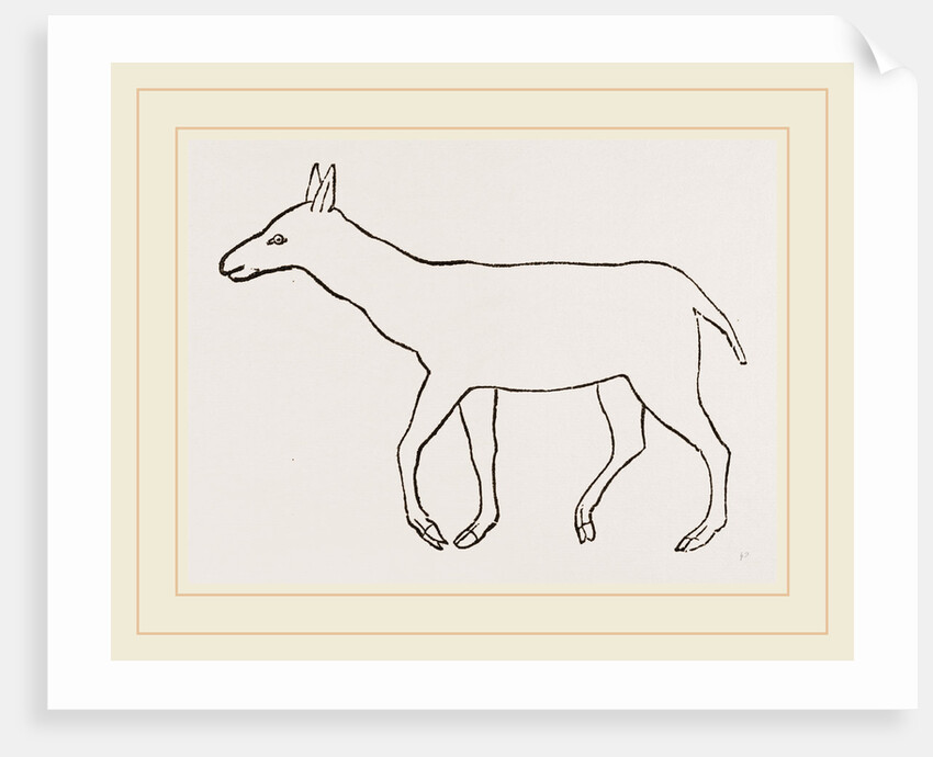 Anoplotherium by Anonymous