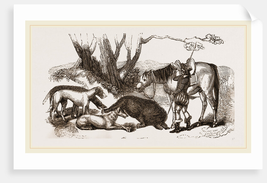 Boar Hunt by Anonymous