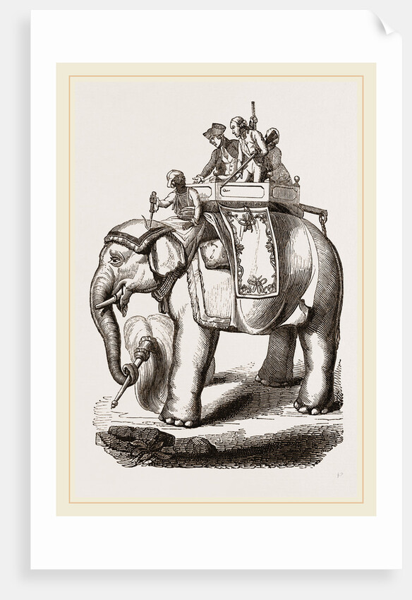 Warren Hastings' Elephant by Anonymous