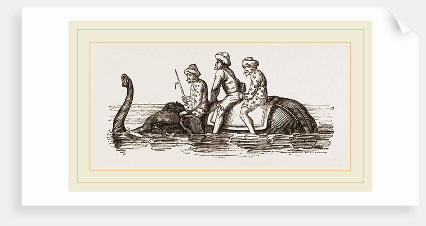 Elephant swimming by Anonymous