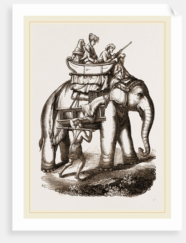 Hunters in a howdah by Anonymous