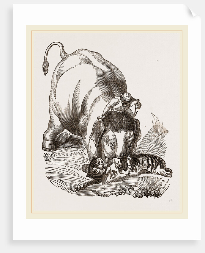 Elephant pinning a Tiger by Anonymous