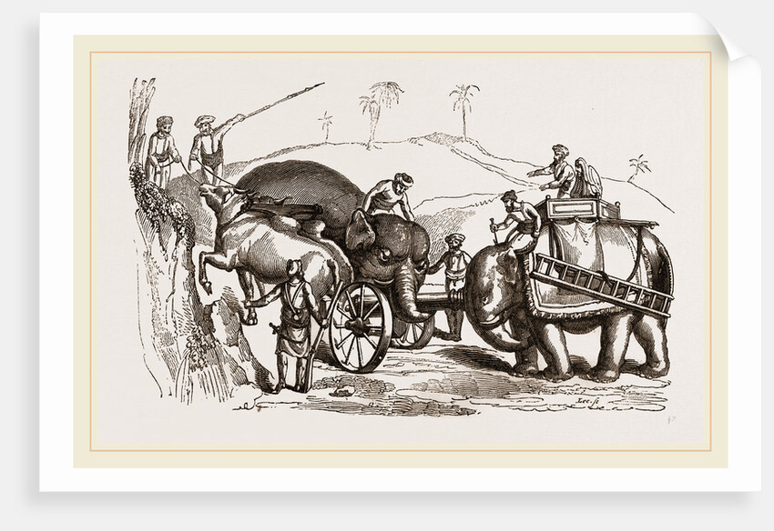 Elephants conveying Artillery through bad roads by Anonymous