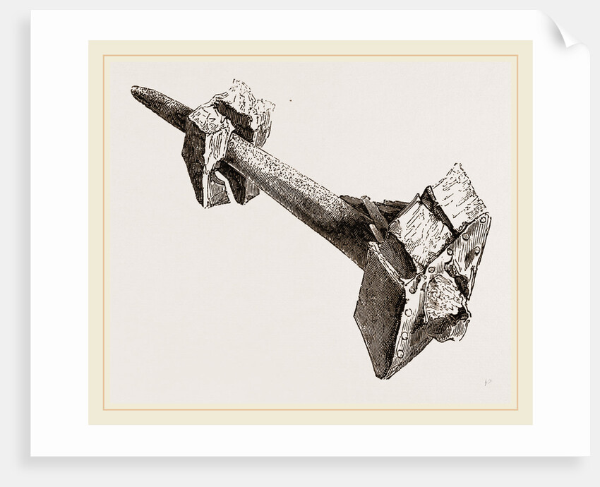 Tusk of Sword-fish driven into timbers a ship by Anonymous