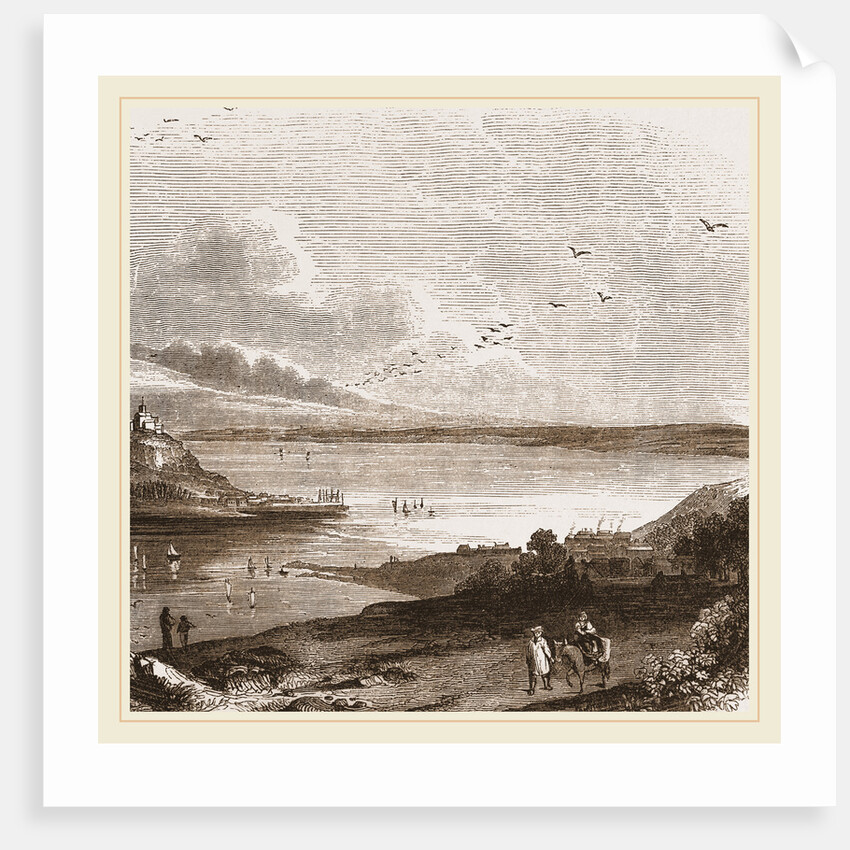 Pilchard fishing in Mount's Bay Cornwall, UK by Anonymous