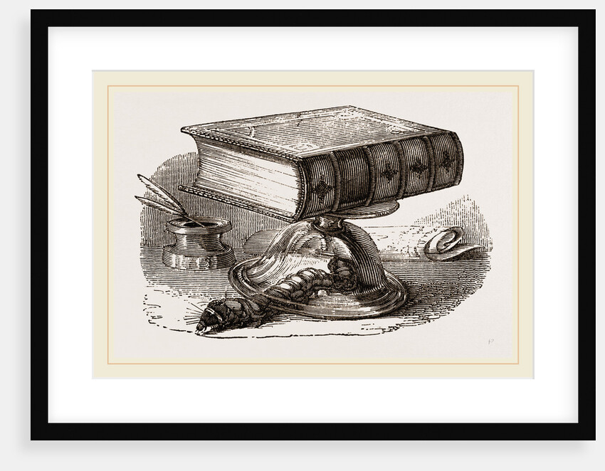 Caterpillar escaping by Anonymous