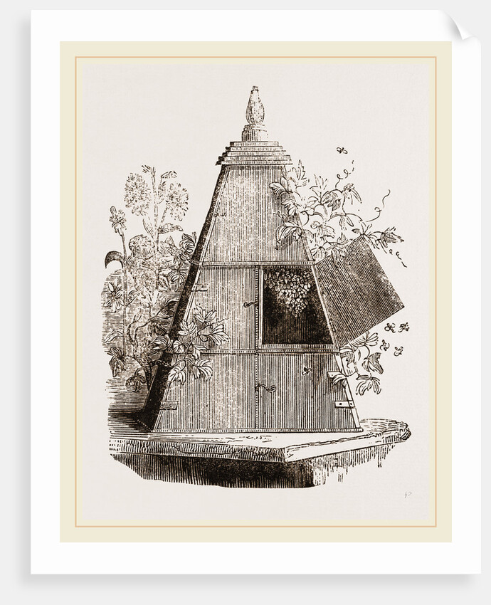 Reaumur's Pyramidal Hive by Anonymous