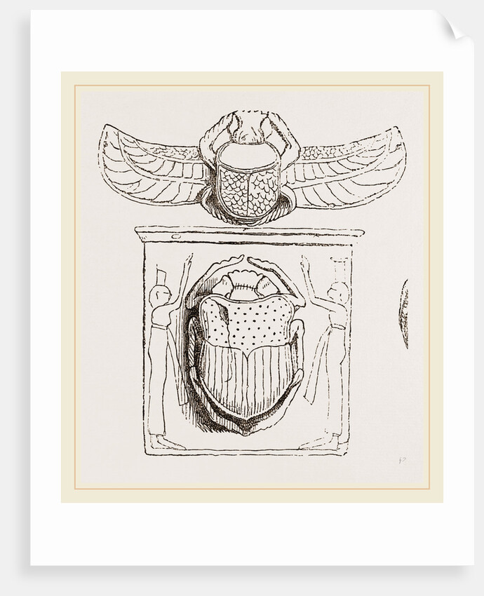 Scarabaei from Egyptian Monuments by Anonymous