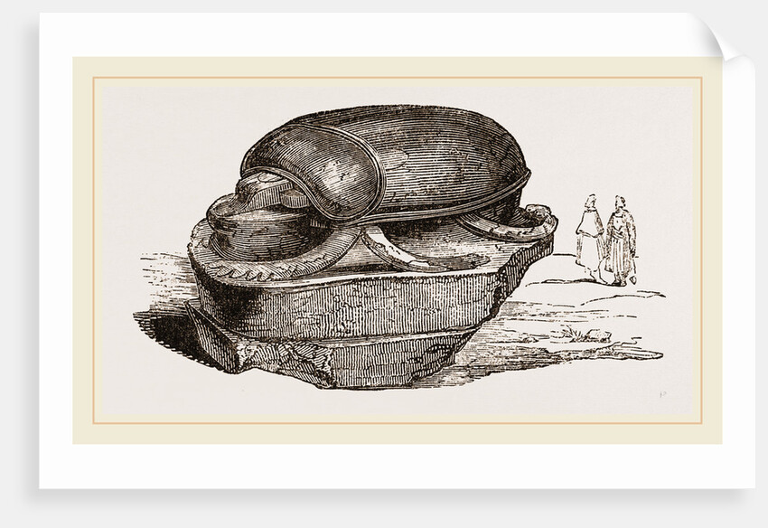 Colossal Scarabaeus—British Museum by Anonymous