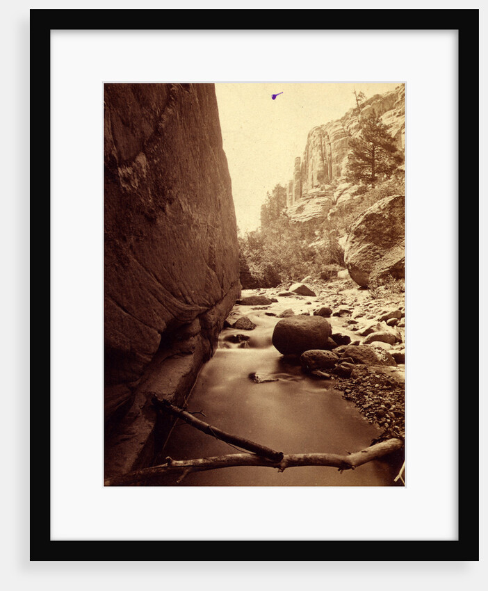 Temple Creek Canon by Anonymous