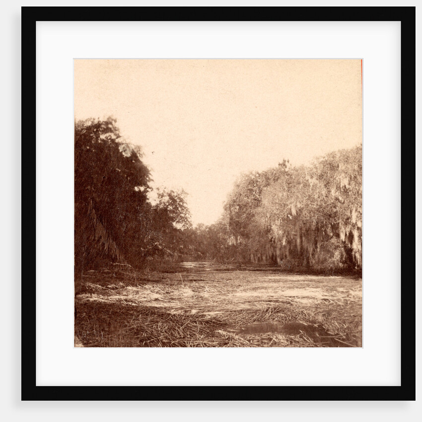 Mud Creek, Hilton Head Island, S.C. by Anonymous