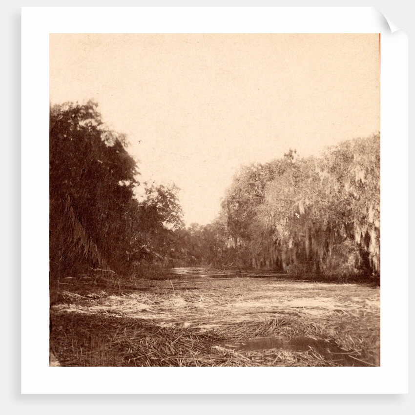 Mud Creek, Hilton Head Island, S.C. by Anonymous