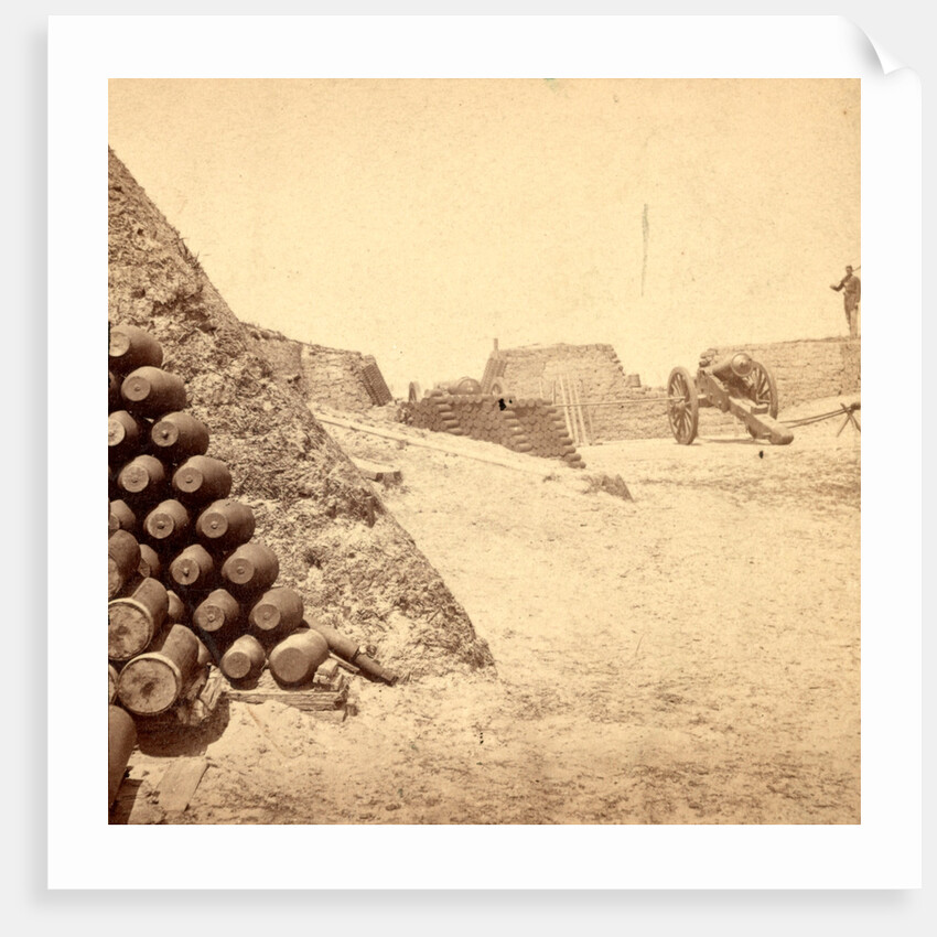 Shells in Putnam, Charleston Harbor, S.C. by Anonymous