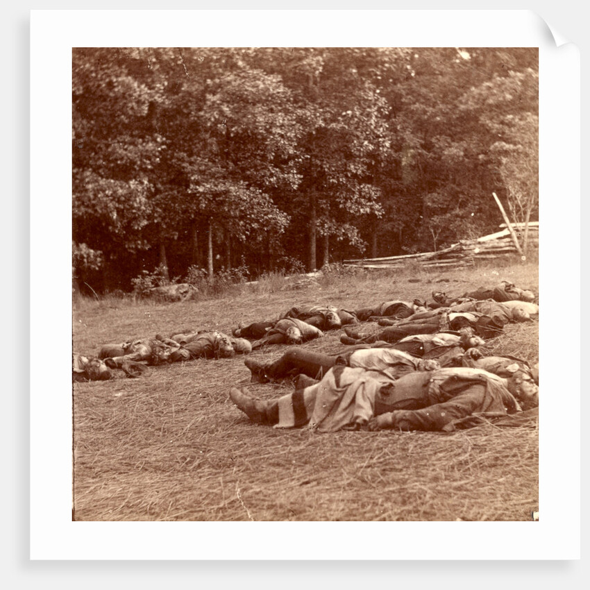 Union (i.e. Confederate) dead at Gettysburg, USA by Anonymous