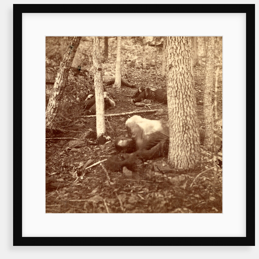 The slaughter pen at Gettysburg, USA by Anonymous