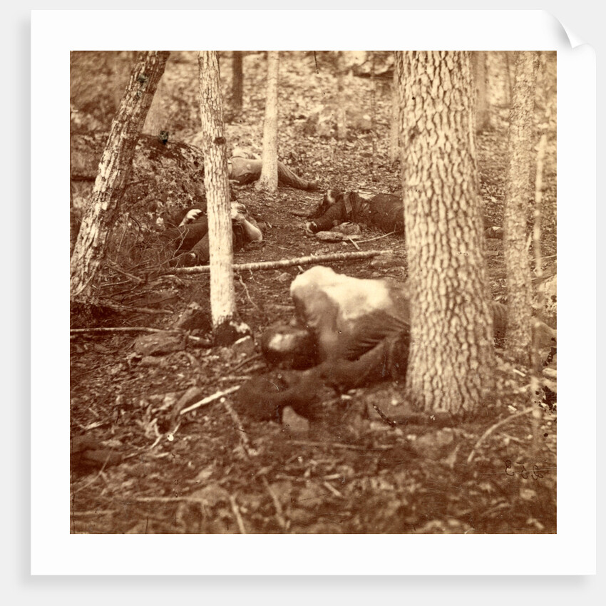 The slaughter pen at Gettysburg, USA by Anonymous
