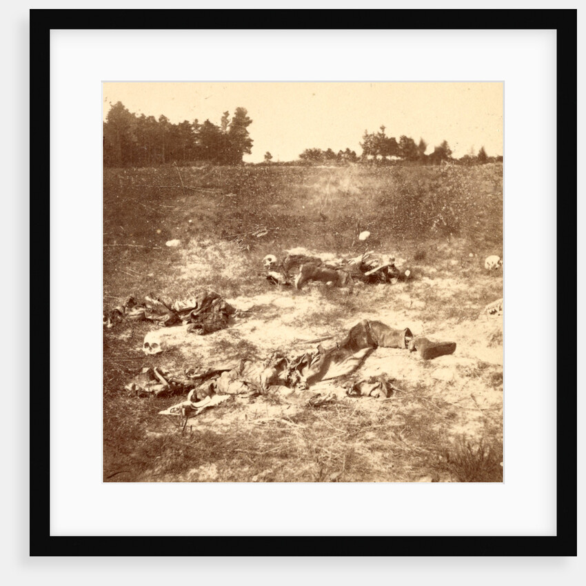 Unburied dead on battlefield, USA by Anonymous