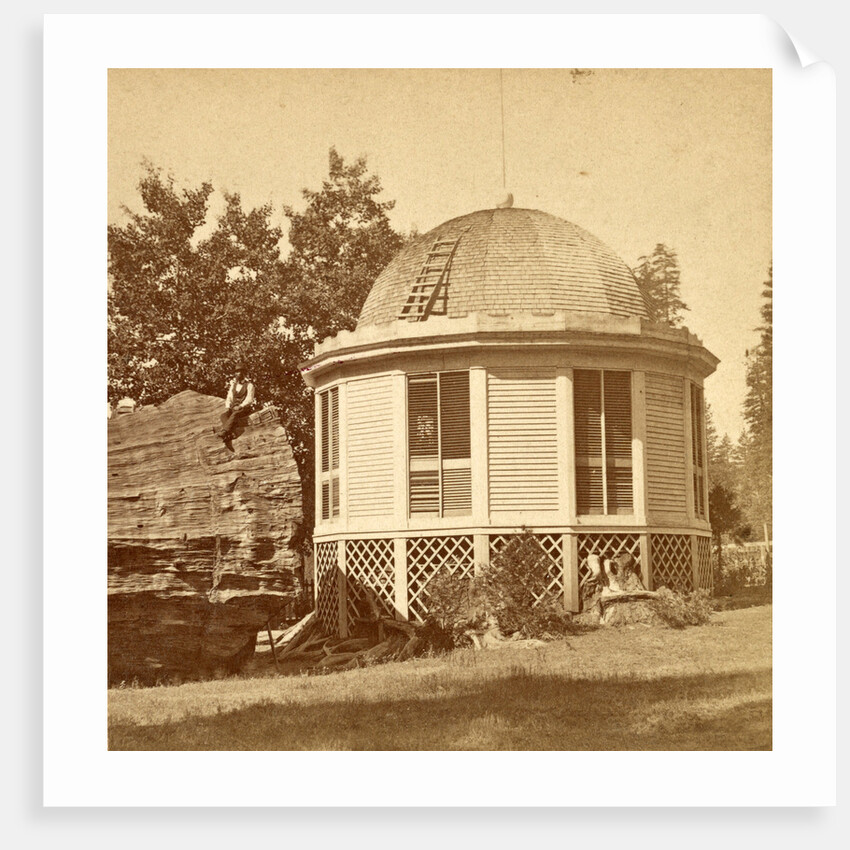 Dancing pavilion, on stump of big tree, USA by Anonymous