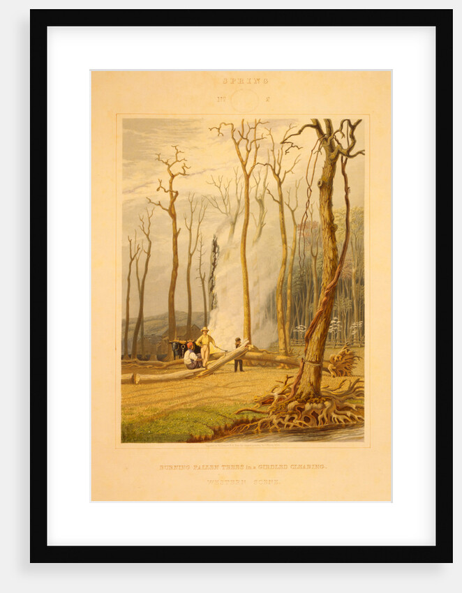 Spring--Burning fallen trees in a girdled clearing--Western scene by G. Harvey