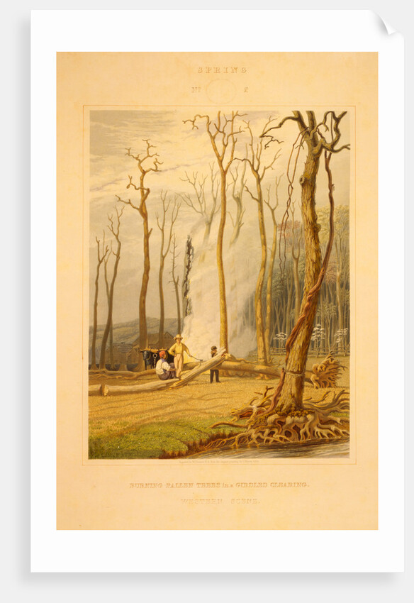 Spring--Burning fallen trees in a girdled clearing--Western scene by G. Harvey