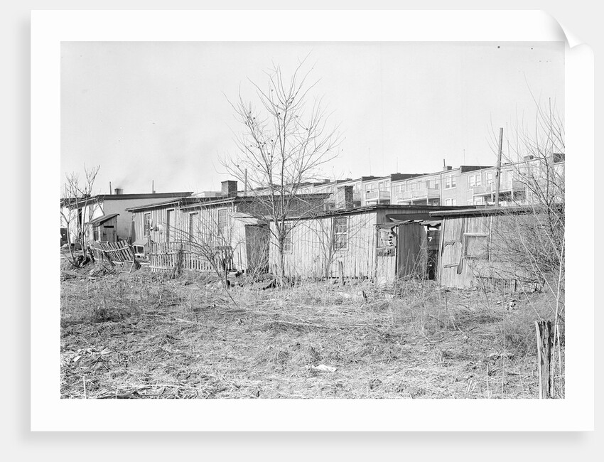 Lancaster, Pennsylvania - Housing. Barney Google Row by Lewis Hine