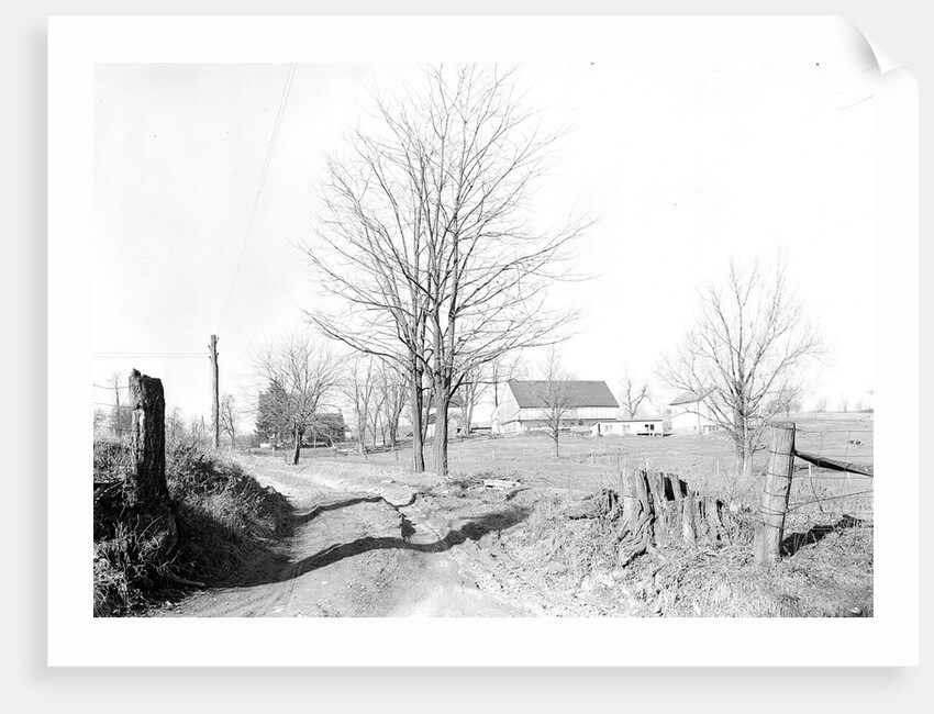 Lancaster, Pennsylvania - Housing. Entrance to moderate sized farm near Rocky Springs, Lampeter Road, 1936 by Lewis Hine