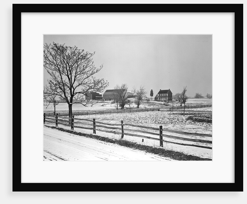 Lancaster, Pennsylvania - Housing. Adjoining farms on side road near Petersburg, 1936 by Lewis Hine