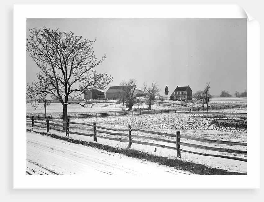 Lancaster, Pennsylvania - Housing. Adjoining farms on side road near Petersburg, 1936 by Lewis Hine