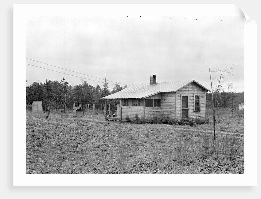 High Point, North Carolina - Housing. Homes of skilled furniture workers in Tomlinson Chair Mfg. Company, High Point, North Carolina. by Lewis Hine