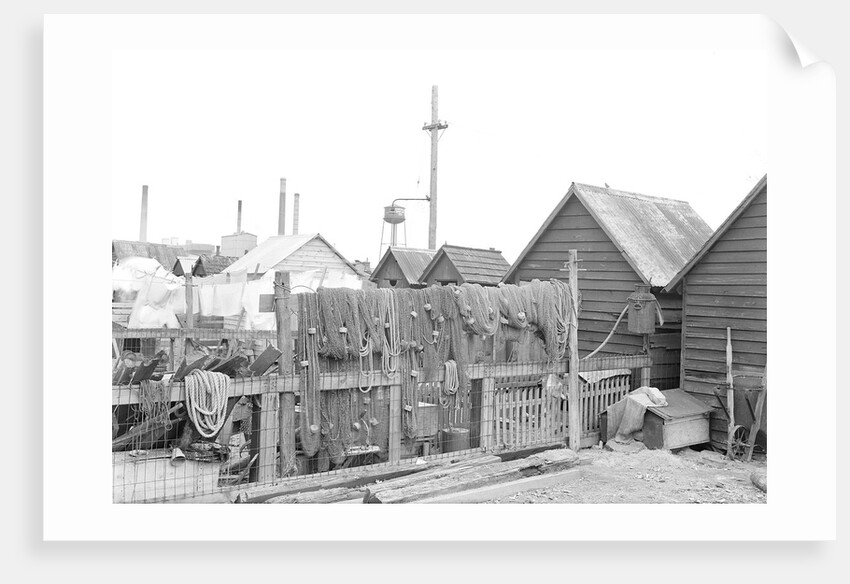 Millville, New Jersey - Scenes. A view of back yards of Whitall Tatum Company houses looking toward Whitall Tatum upper plant, 1936 by Lewis Hine