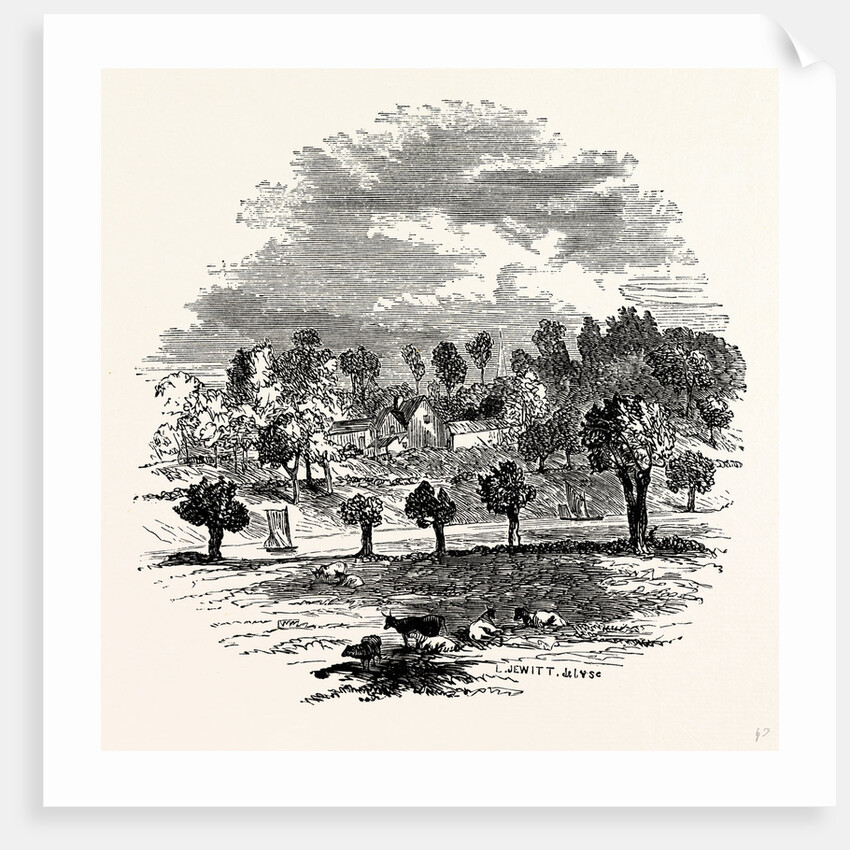 The Trent and Weston Cliff by Anonymous