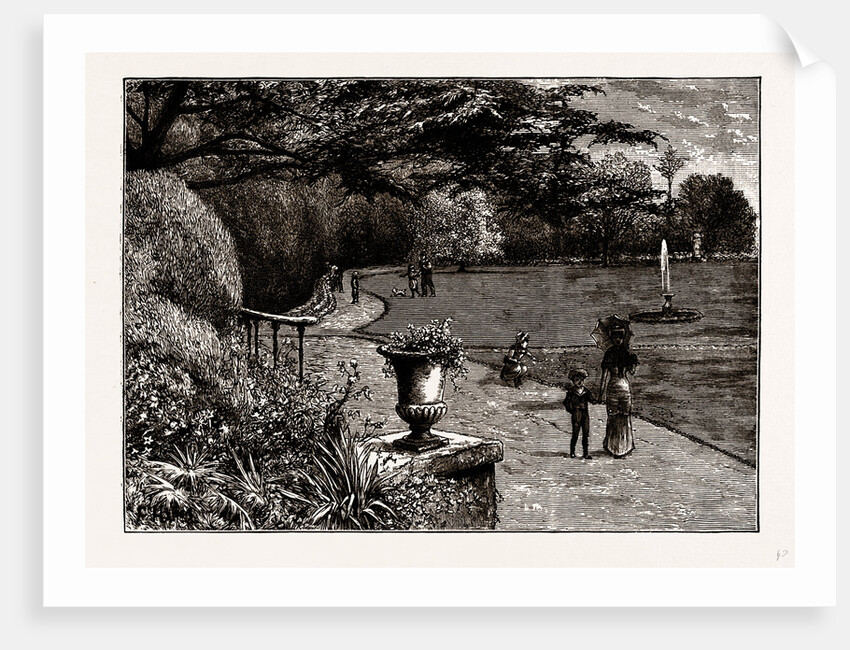 The Gardens of Orleans House, 1882 by Anonymous