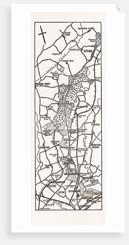 Map Up Epping Forest by Anonymous