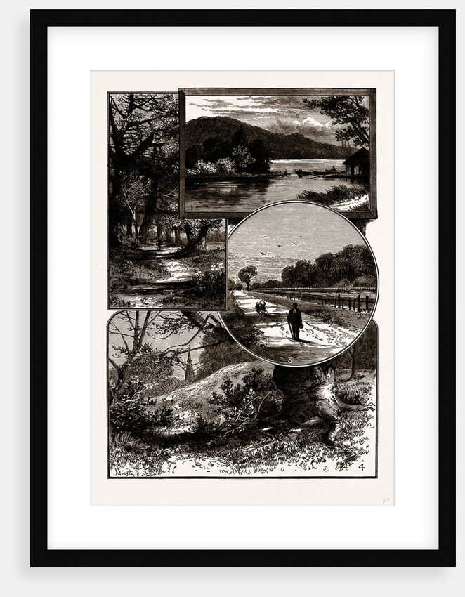 Views In Epping Forest by Anonymous