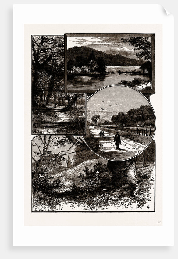 Views In Epping Forest by Anonymous