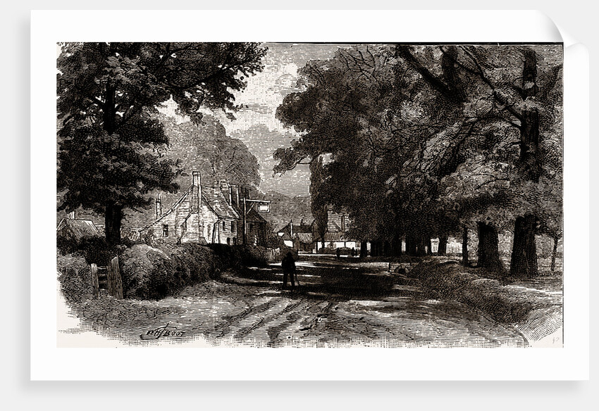 Theydon Bois by Anonymous