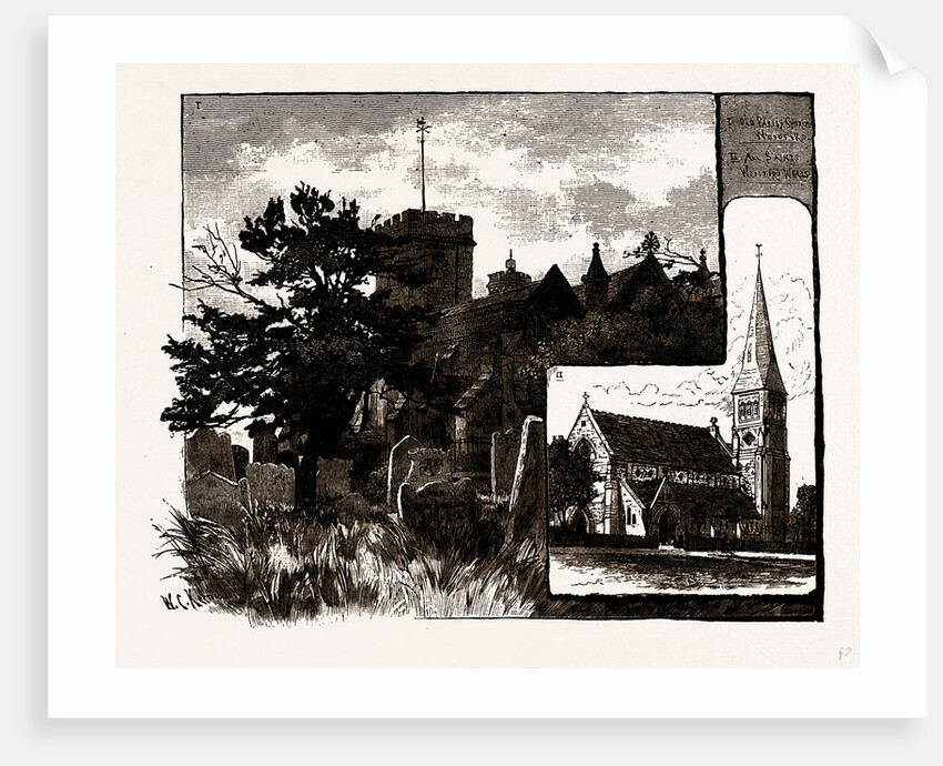 Churches At Woodford by Anonymous