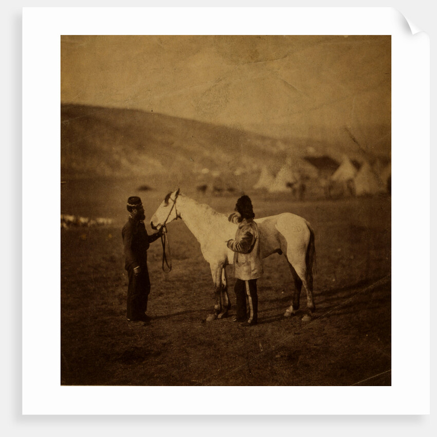 Colonel Clarke, Scots' Greys, with the horse wounded at Balaklava, Crimean War by Roger Fenton