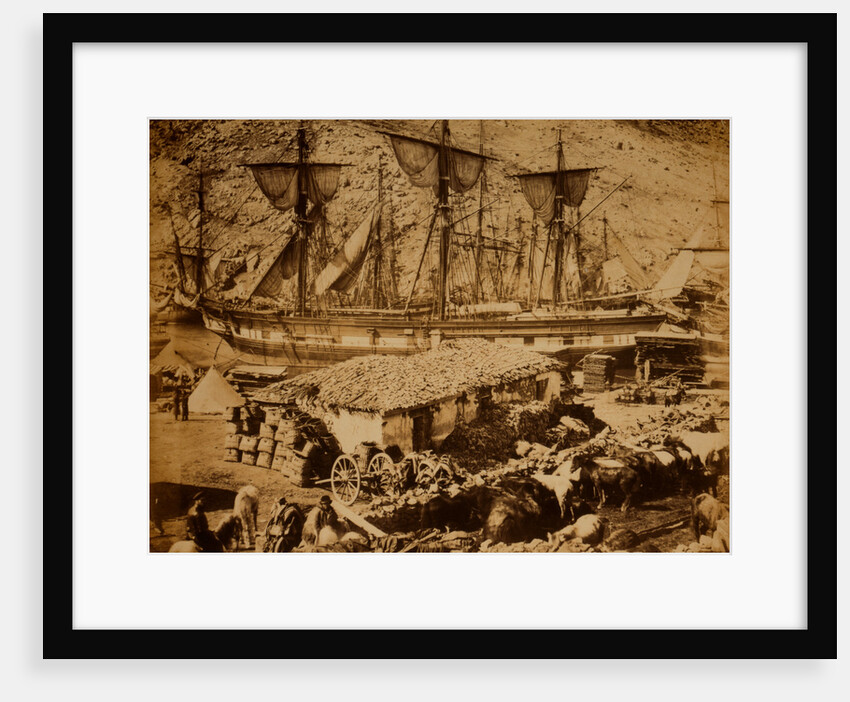 Balaklava harbour, the cattle pier, Crimean War by Roger Fenton