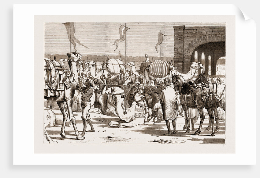 The Prince Of Wales At Trichinopoly, 1876: The Railway Station Before The Prince's Arrival: Loading Camels With Troops' Baggage by Anonymous