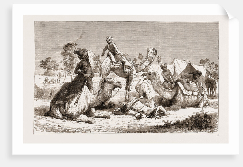 India, Camel Riders Of A Native Cavalry Regiment Preparing For A March by Anonymous