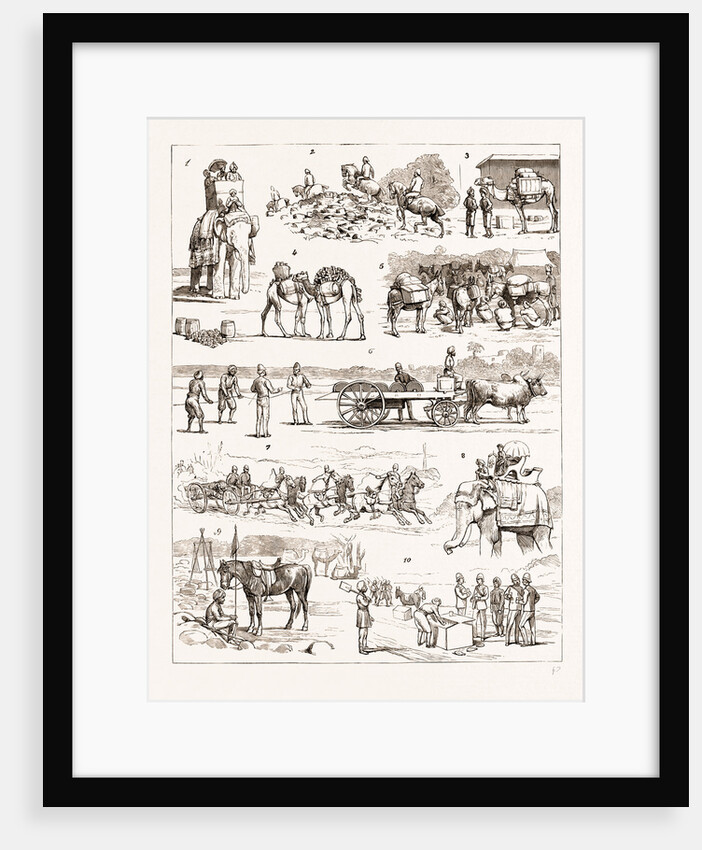 The Sham Fight Before The Prince Of Wales At Delhi, India by Anonymous