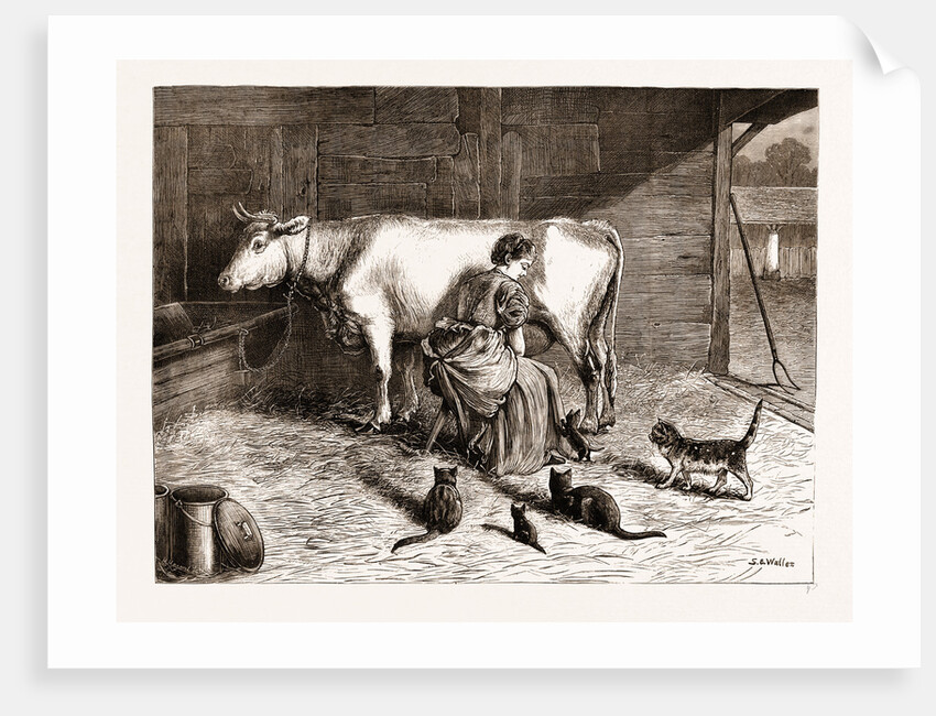 Ladies In Waiting From The Painting By S.e. Waller Exhibited In The Dudley Gallery, UK by Anonymous