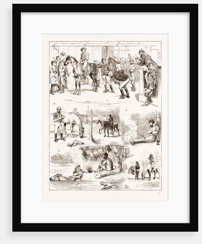 Scenes Of Australian Life, 1876 by Anonymous